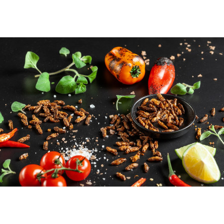 Jedlí červi Sens Křupaví & pražení cvrčci Chilli & Limetka