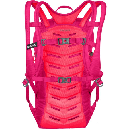 Běžecký batoh Salewa Ultra Train 14 BP