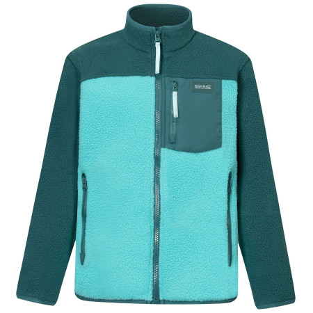 Dětská funkční mikina Regatta Junior Frankie Warm Fleece Mediterranea/Turquoise