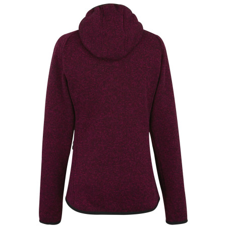 Dámská mikina Regatta Women’s Hooded Newhill