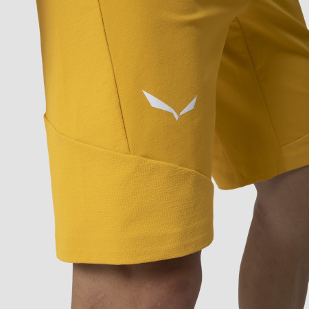 Pánské kraťasy Salewa Agner Dst M Shorts.