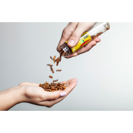 Jedlí červi Sens Křupaví & pražení cvrčci Chilli & Limetka