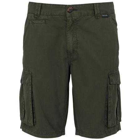 Pánské kraťasy Regatta Shorebay Shorts II