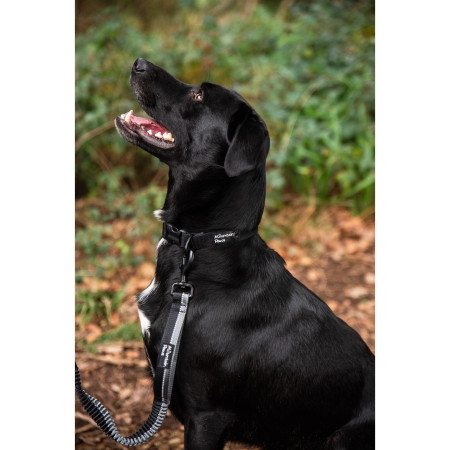Vodítko s amortizérem Mountain Paws Stretch Dog Lead