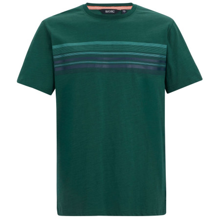 Pánské triko Regatta Rendro