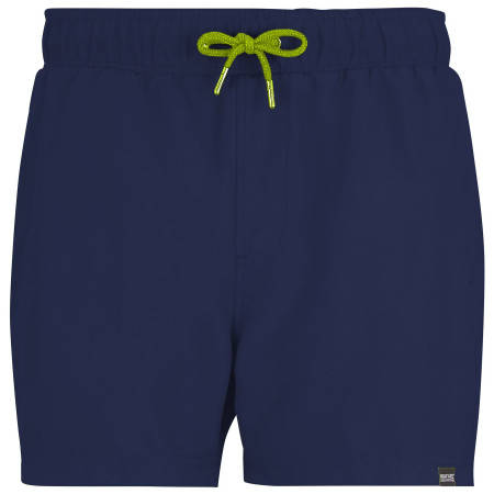 Pánské plavky Regatta Mawson Swim Shorts III