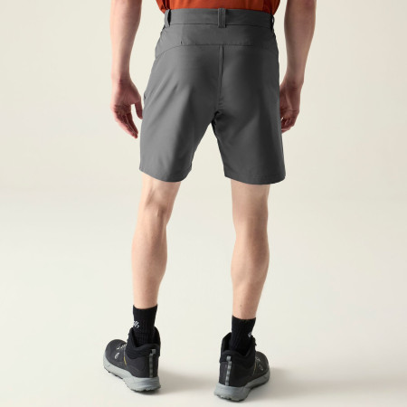 Pánské kraťasy Dare 2b Torrek II Short