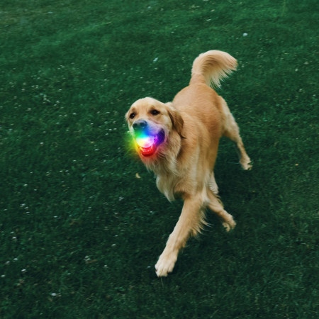 Hračka pro psa Nite Ize Glowstreak Rechargeable Led Ball