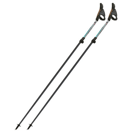 Nordic walking hole Fizan Tekno Race Impulse