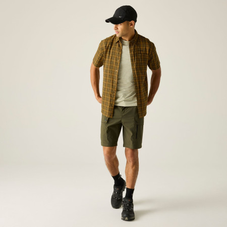 Pánská košile Regatta Begarno