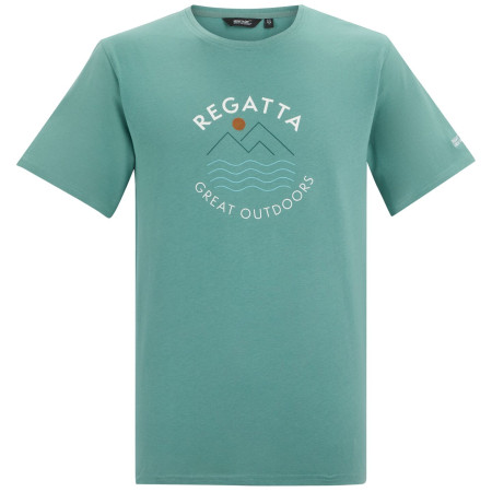 Pánské triko Regatta Cline IX