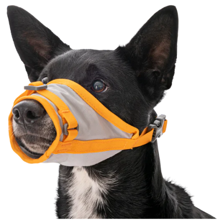 Postroj na psa Ruffwear BackTrak™ Dog Evacuation Kit