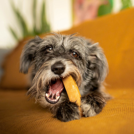 Hračka pro psa Explorer Dog Himálajský pamlsek