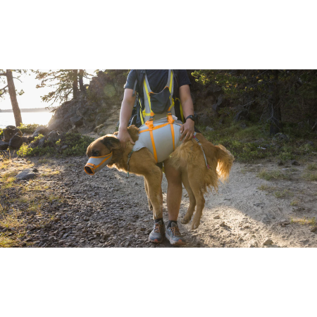 Postroj na psa Ruffwear BackTrak™ Dog Evacuation Kit
