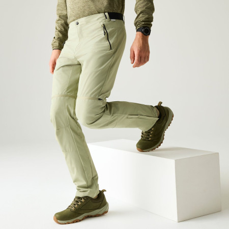 Pánské kraťasy Regatta Mountain Z/O Trousers