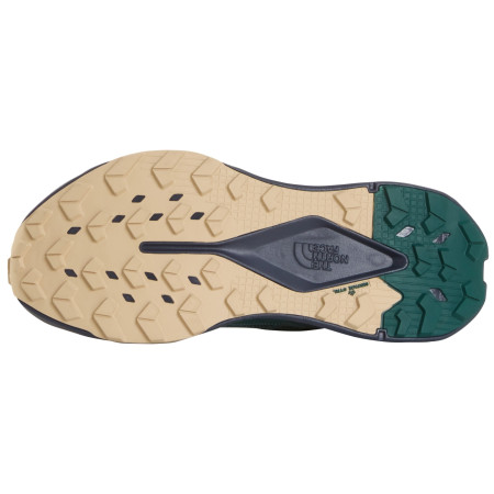 Pánské boty The North Face M Altamesa 300 V2