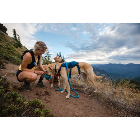 Postroj pro psa Ruffwear Switchbak™ Harness