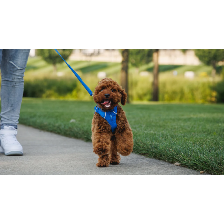 Vodítko na psa Ruffwear Front Range™ Leash
