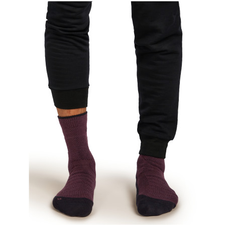 Ponožky Icebreaker Men Merino Hike+ Heavy Crew