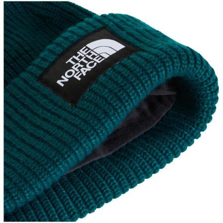 Čepice The North Face Salty Lined Beanie