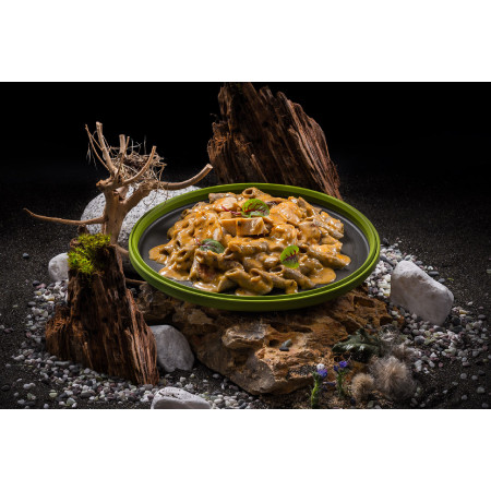 Dehydrované jídlo Adventure Menu Cvrččí proteinové penne s kuřecím masem v kreolské krémové omáčce