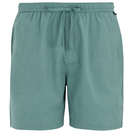 Pánské kraťasy Regatta Hadlin Shorts