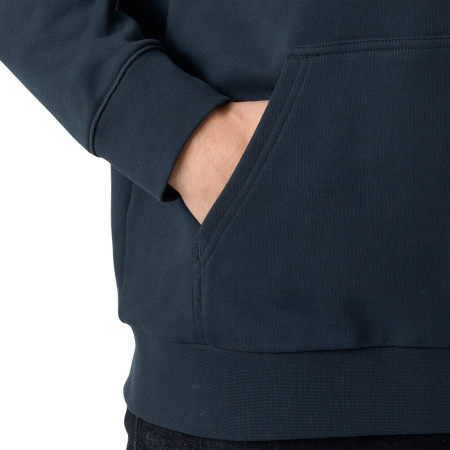 Pánská mikina Helly Hansen HH Logo Hoodie