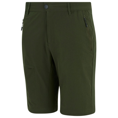 Pánské kraťasy Regatta Highton Shorts Long II