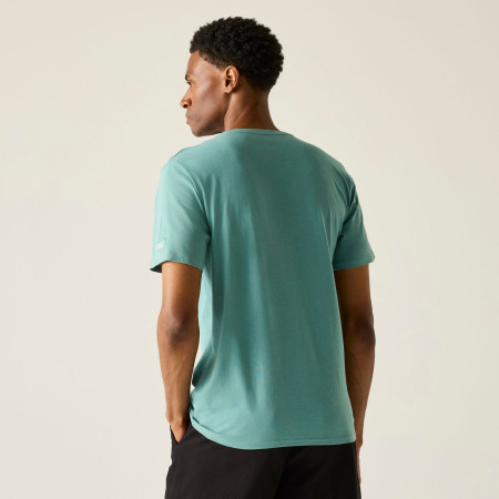 Pánské triko Regatta Cline IX