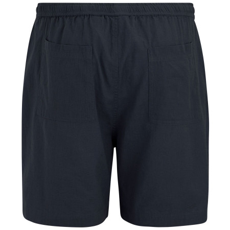 Pánské kraťasy Regatta Hadlin Shorts