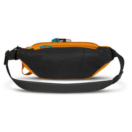 Ledvinka Pacsafe ECO waist pack