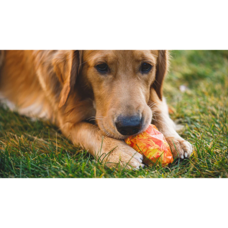 Hračka pro psa Ruffwear Gnawt-a-Cone™ Toy