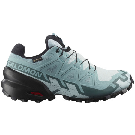 Dámské boty Salomon Speedcross 6 Gore-Tex