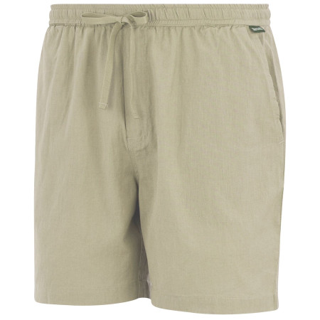 Pánské kraťasy Regatta Hadlin Shorts