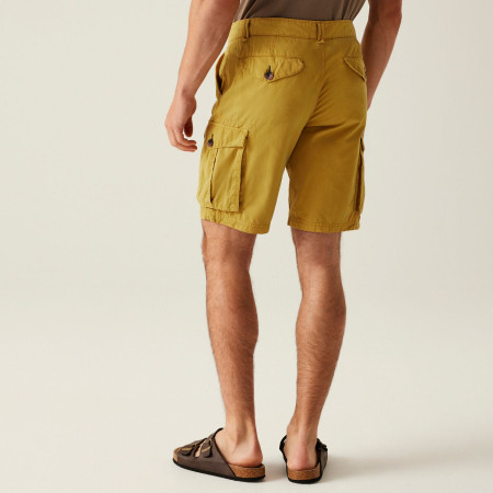Pánské kraťasy Regatta Shorebay Shorts II