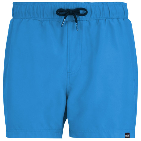 Pánské plavky Regatta Mawson Swim Shorts III