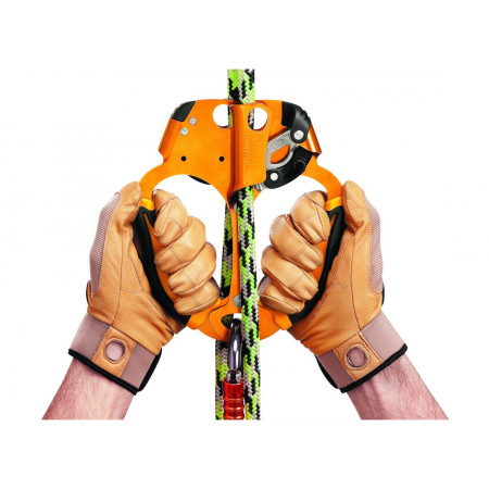 Blokant Petzl Ascentree