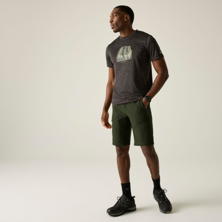 Pánské kraťasy Regatta Highton Shorts Long II