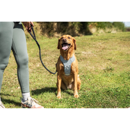 Postroj pro psa Mountain Paws Reflective Dog Harness