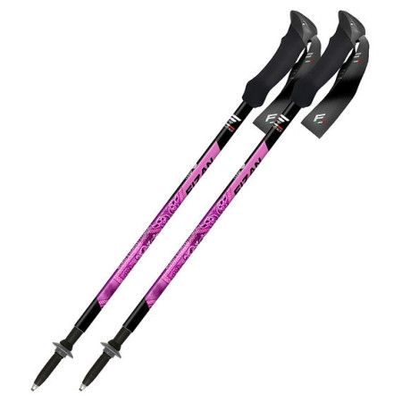 Trekové hole Fizan Compact MS