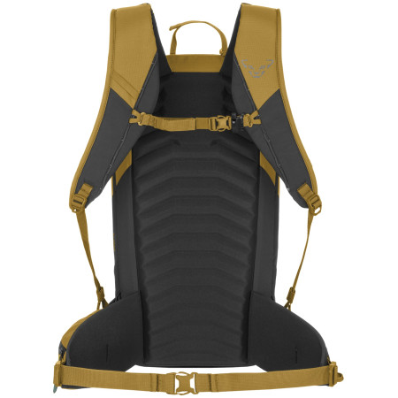 Pánský batoh Dynafit Ridge 26 Backpack