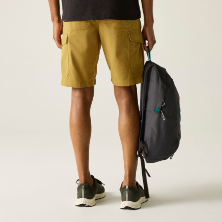 Pánské kraťasy Regatta Ruwan Shorts