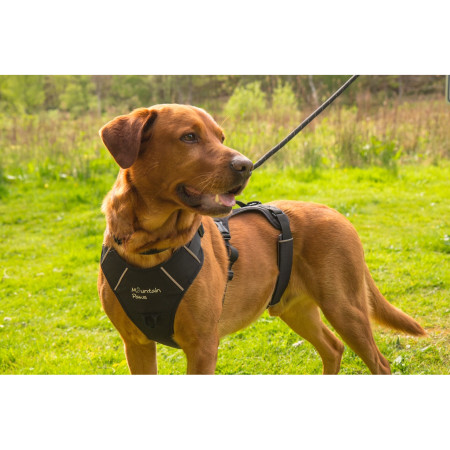 Postroj pro psa Mountain Paws 3-Strap Dog Harness