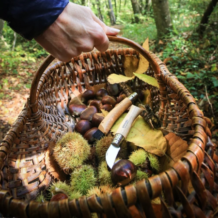 Zavírací nůž Opinel N°07 Inox