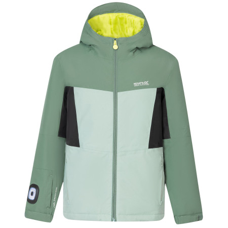 Dětská zimní bunda Regatta Beamz Dark Forest/Glacier Green
