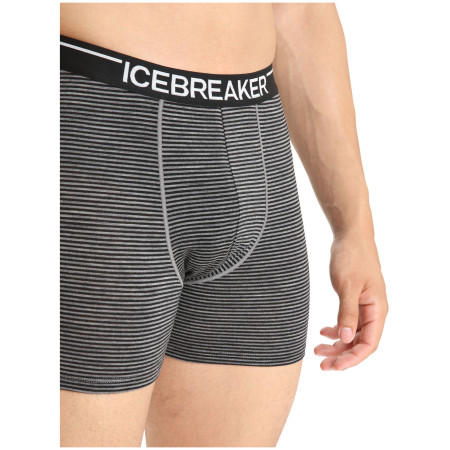 Pánské boxerky Icebreaker Mens Anatomica Boxers