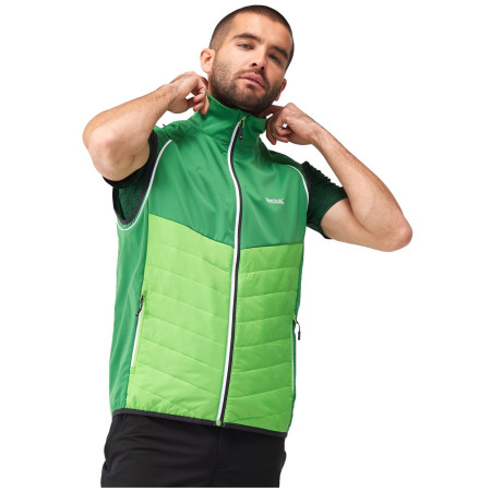 Pánská bunda Regatta Steren Hybrid