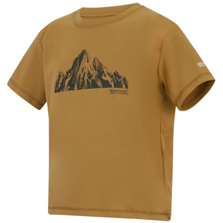 Dětské triko Regatta Alvarado Wood Brown