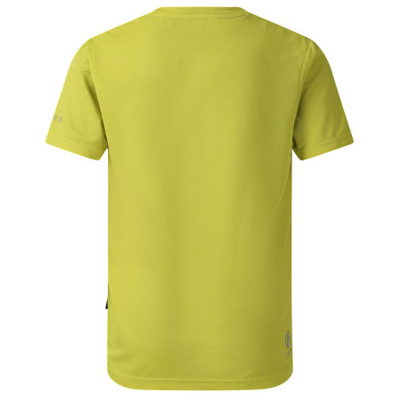 Dětské triko Dare 2b Amuse III Tee Frgle Sprout