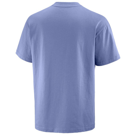 Pánské triko Salomon Wild Rays Label SS Tee